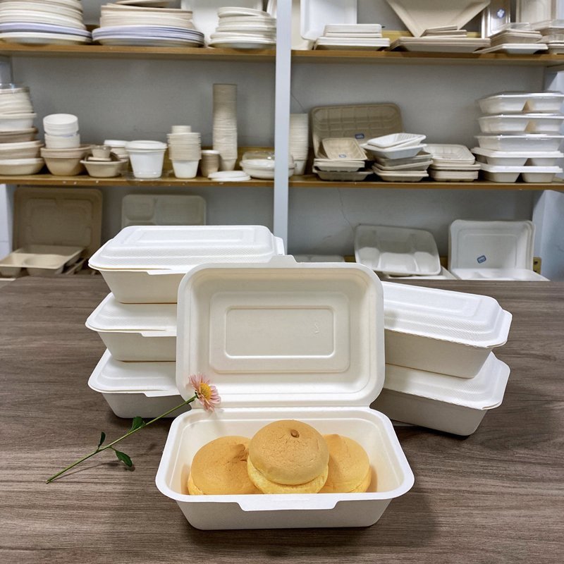 Biodegradable Bagasse Cutlery Products